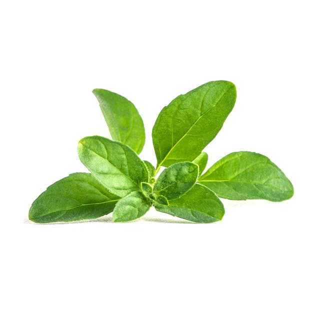 Пакет семена "Lingot" mentha pulegium - Veritable