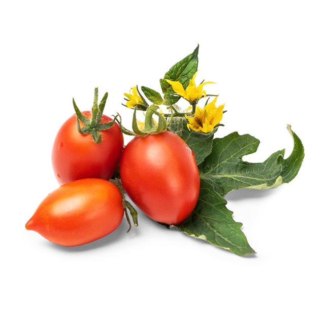 Опаковка семена от мини домати, "Lingot" - "VERITABLE"