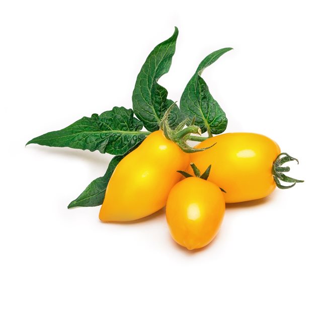Опаковка жълти мини домати "Lingot" семена - "VERITABLE"