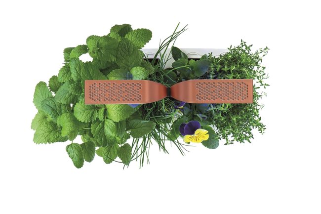Кутия за цветя, 33 × 18,5 × 45 cm, "SMART Garden", Copper – Veritable