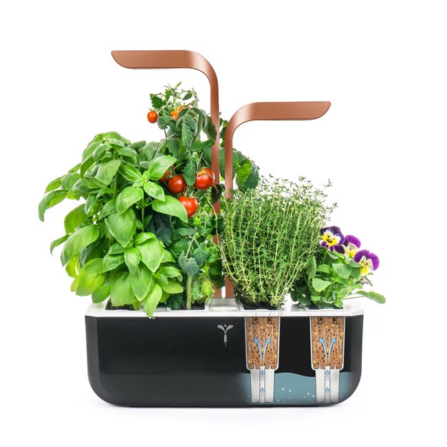 Кутия за цветя, 33 × 18,5 × 45 cm, "SMART Garden", Copper – Veritable