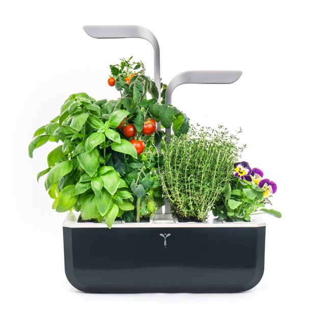 Кутия за кашпа, 33 x 18,5 cm x 45 cm, "SMART Garden", Soft Black - Veritable