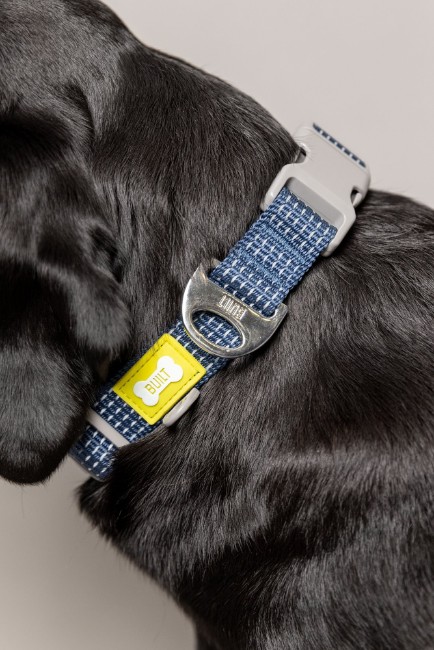 Светлоотразителен нашийник за куче, голям, син - Built Pet