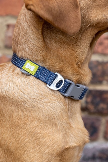 Светлоотразителен нашийник за куче, среден размер, син - Built Pet