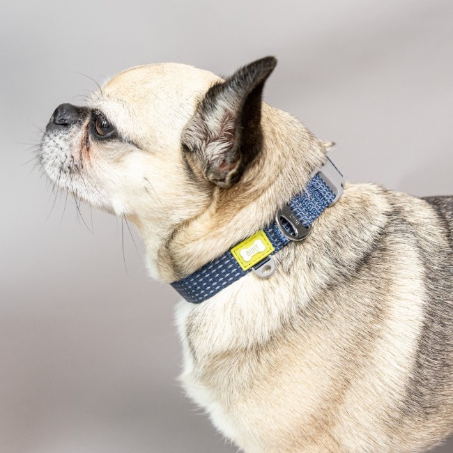 Светлоотразителен нашийник за куче, малък размер, син - Built Pet