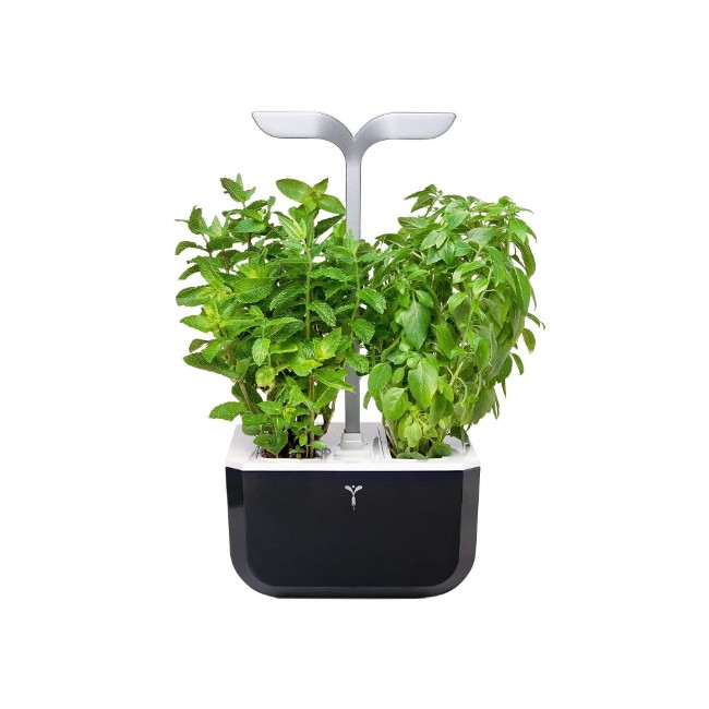 Саксия Exky "SMART Garden", Soft Black - Veritable