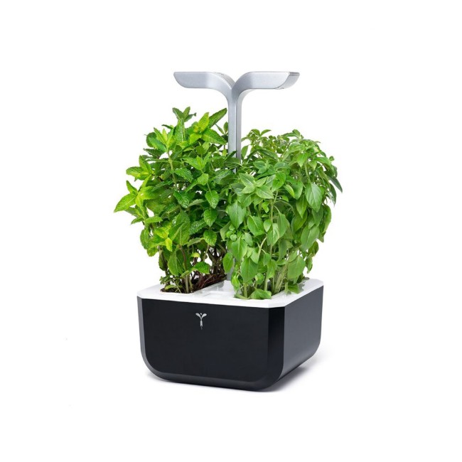 Саксия Exky "SMART Garden", Soft Black - Veritable