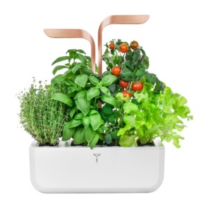 Садия, 33 × 18,5 × 45 см, "SMART Garden" White-Cooper - Veritable