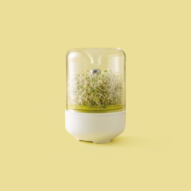 Контейнер за покълване на семена, изработен от стъкло - Chef'n
