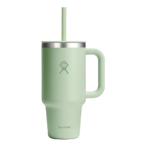 Топлоизолирана чаша, неръждаема стомана, 950 мл, "All Around Travel", Aloe - Hydro Flask