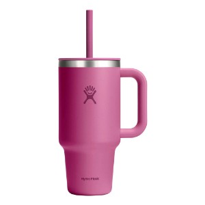 Топлоизолирана чаша, неръждаема стомана, 950 мл, "All Around Travel", Reef - Hydro Flask